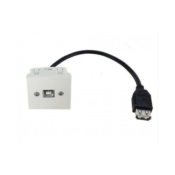 Plastron 45x45 USB 2.0 type B F / cordon USB type A F 0.2m