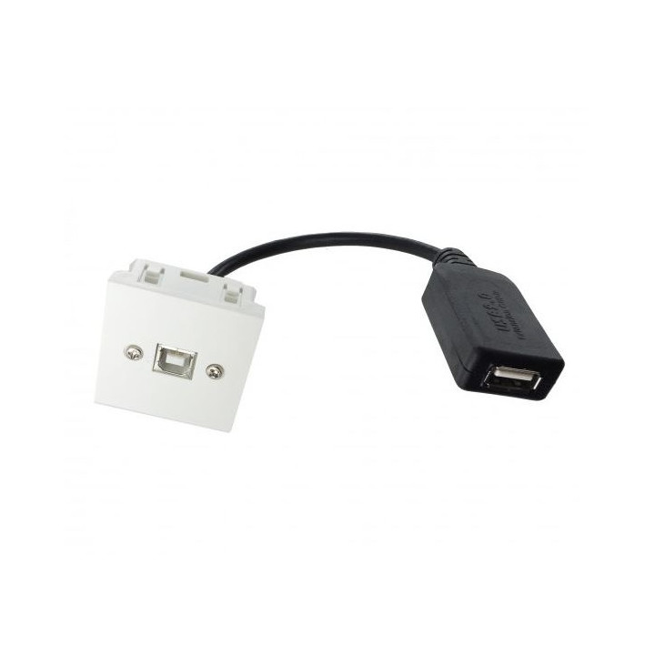 Plastron 45x45 USB 2.0 type B F / cordon USB type A amplifié F 0.2m