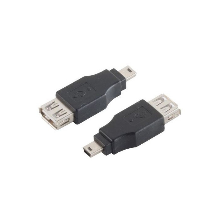 Adaptateur Mini USB 5 points mâle vers USB AF