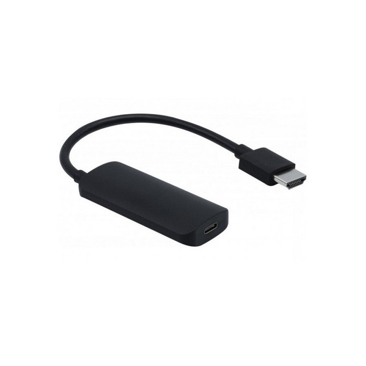 Convertisseur HDMI 2.0 vers Type-C DP alt Mode (DP 1.2) 
